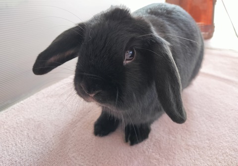 5323E504-5A62-4151-93E4-1B8345A42E9F