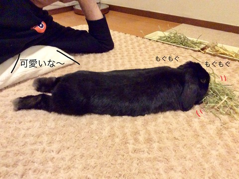 80673C5F-800C-4A41-A75A-6D45DE418090