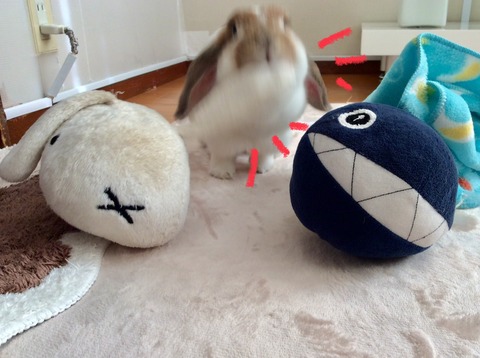 1D65511A-88FD-4113-98FF-06E8A0EF3E92