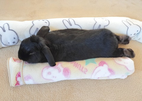 B57DE717-F1BE-4DB9-9099-EDC574695F6F