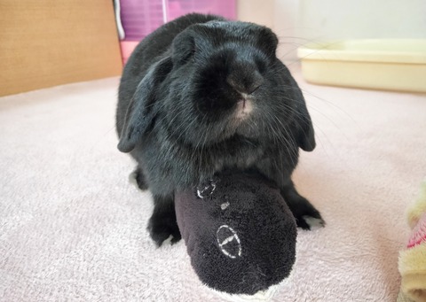 6B07F124-99B3-4FAE-8F7A-4A52A52A872D