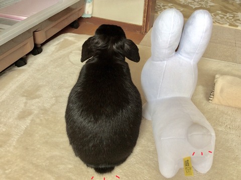 28AA6612-370A-4091-86BA-8738449D1F23