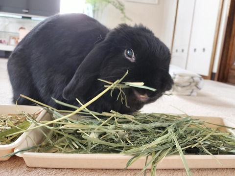 C58DE081-98EB-46FC-A72D-8B6CF966D6FB