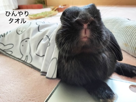 B8CC2339-1EA9-4CB7-85B1-BE4CD14618A2