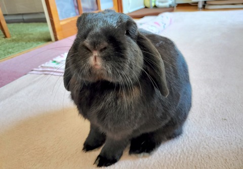 6C35DD27-AF72-4577-9A92-EC93E206B51A