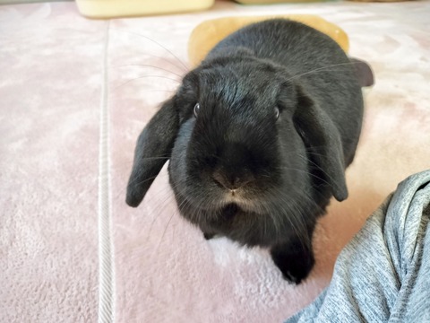 A0358247-488A-4788-9658-904BF21E9414