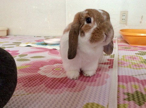 735D7C59-3417-4AF5-96DE-52FC18253321