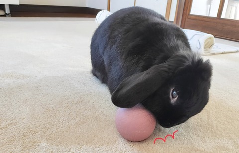 63012BFE-79C1-4B22-BC90-9885D7A39439