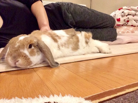 78D79982-8B77-4F88-8779-8B884C0AFEF4