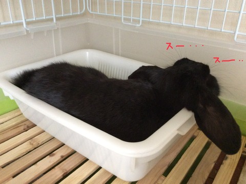 EB5A2858-28D9-491F-AC26-962F8592FF65