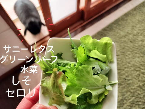 E18ECD40-4B08-4F5C-ADC5-C6F175D3D095