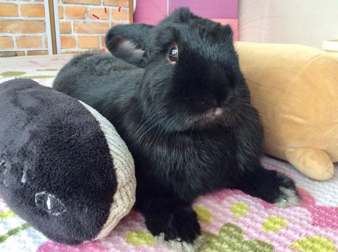 E3E02E58-F38C-4672-959D-4AE056C56447