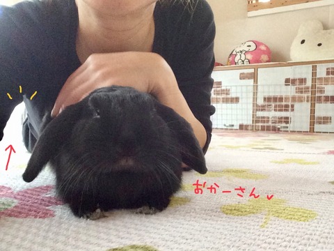 4BFB274C-68A9-4777-9CDF-7B59844CE63D