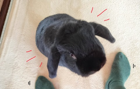 465482A0-C8E5-482F-B889-B2179706606E