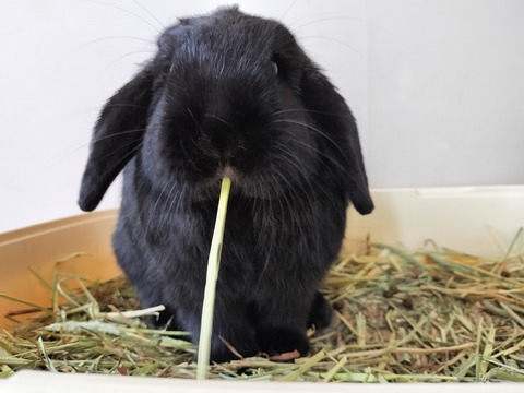 FD92C6C5-CD56-486C-A281-5D68B7F33978