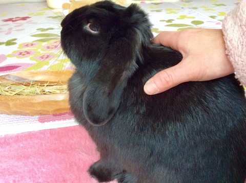 7A7EFAC5-7D54-4887-805D-B209AD32D635