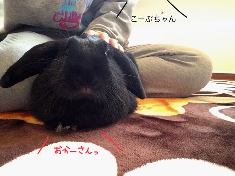 BFE1F0EB-56EA-457B-895E-D0507C3B0F21