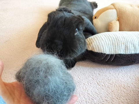 26B2117C-8126-4B88-B3D9-D761333C55D0