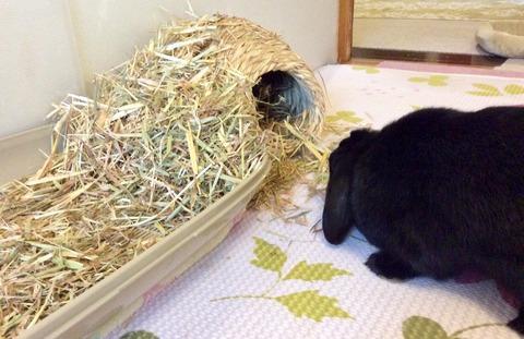 2C7762D7-AB14-40A0-8909-A1EEFADE4C23