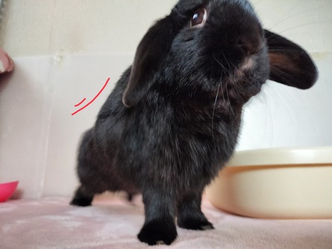 72E3B4A1-3946-49C1-BA41-EF935E693B18