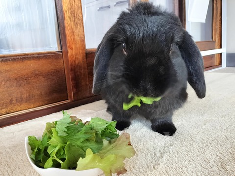 490B10BD-2164-4C4F-B9C2-71DAF5A4F609