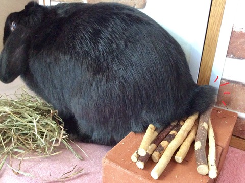 3EB2F8A3-E51C-462F-BF3C-4BB68AC444C6