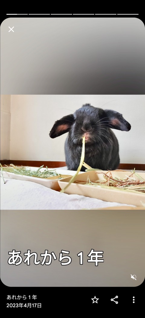 FD052E53-74B0-454E-A8B3-0E0DDF054310