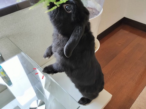 B77AB9D7-49E7-4F9C-B38D-1E0B87111C07