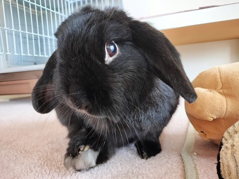 F4C55AA6-AFB7-495E-963E-1EA02EEDA787