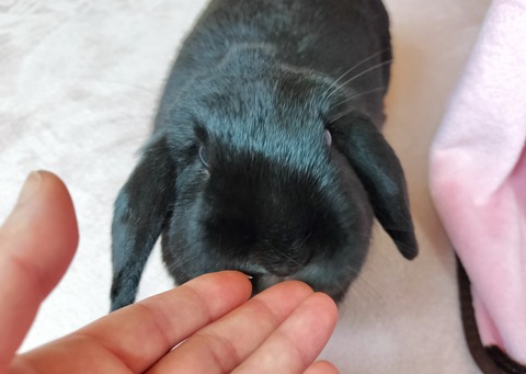 EB53C443-BD39-4CE8-95FE-318ABE98F980