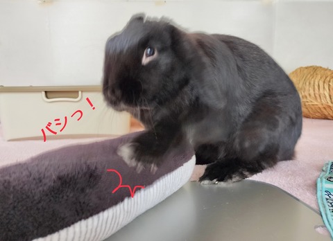 E67CF2A0-DE8B-4719-85A2-DD1E1A64459C