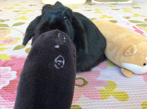 753FE16E-E6A6-4969-8A68-C6C3CD98B65E