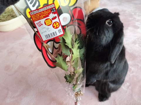 70BEDF48-E20E-434F-9D97-A3893BDD33A1