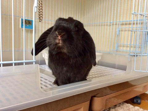 2E687814-D187-4710-BD3D-EE11F9C2AB05