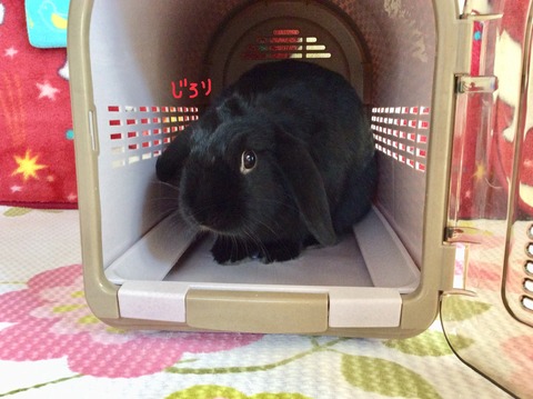 918B2BEB-24C6-42E6-AFF6-A645ACAF2E13