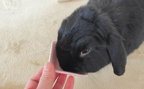 08EF8432-851F-4E98-B766-593DBFAD27E3