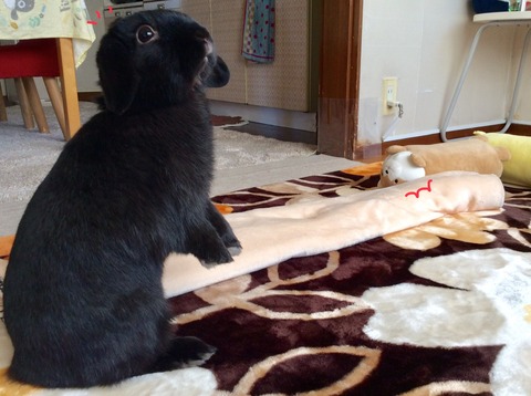 2F6B12A1-BFF6-4704-8C54-DC24B8E7C53B