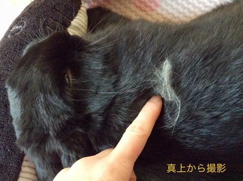 190AC5FD-9EE1-4CB7-A57A-03996527836F