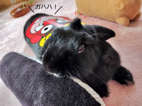 48D58E9E-C061-48E4-AB47-26A9D345778F