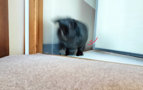 993A66C8-F1ED-4E14-BA4B-8E9688077497