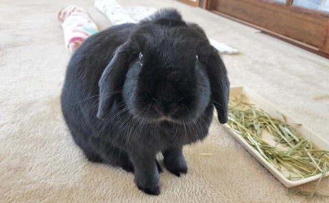 18420F51-4307-4F20-AAD3-C45E67F7A973