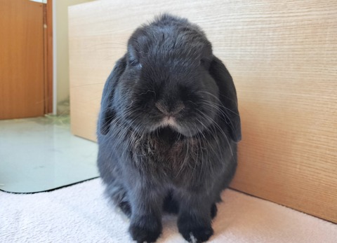 9D829CA7-979B-437E-9F12-12CDFC0CF7A4