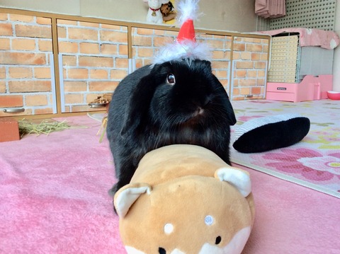 662F8F10-2B47-4372-806F-69069C4A824E