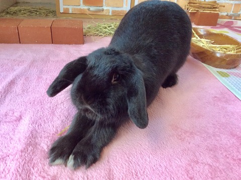 52A5F998-6069-4B07-824D-3A0084B65213