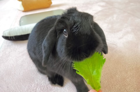 4B3C1E6B-49EF-43FA-A2D5-3C5C1AE30B92