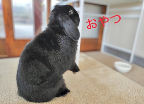 219B1E42-60C7-44F9-A7C0-CA1A4A17B419