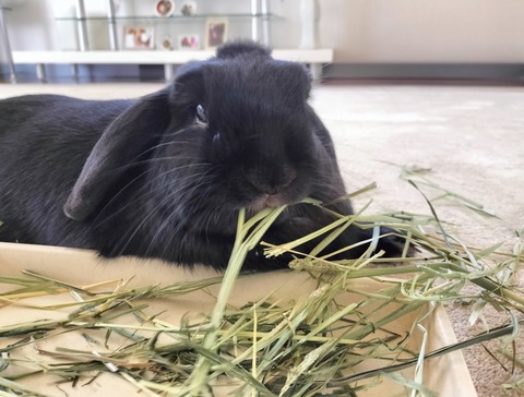 FB5EB902-E6FA-4ED1-A57B-F6C4302DE3FA