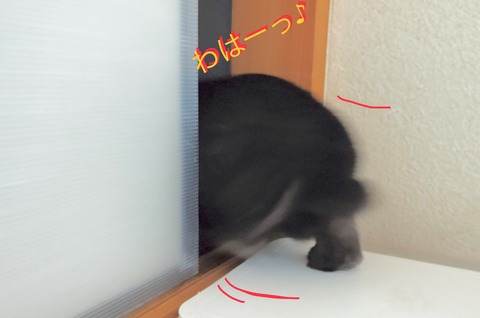 AE53C800-C28D-4AEA-9B45-942F061342E5