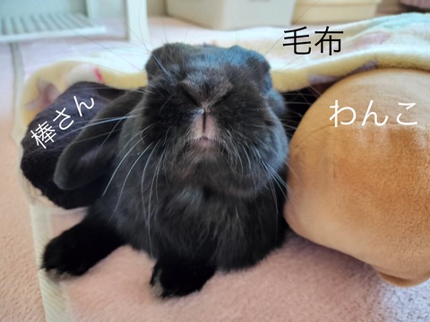 28F4D268-DE79-43A3-AA7C-44E3A7E1CFEA