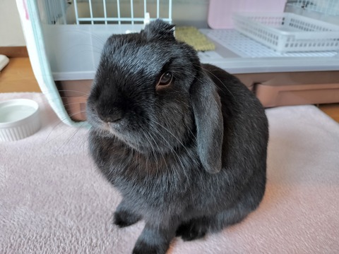 D279395D-0914-4239-9400-BB2E47AB308D